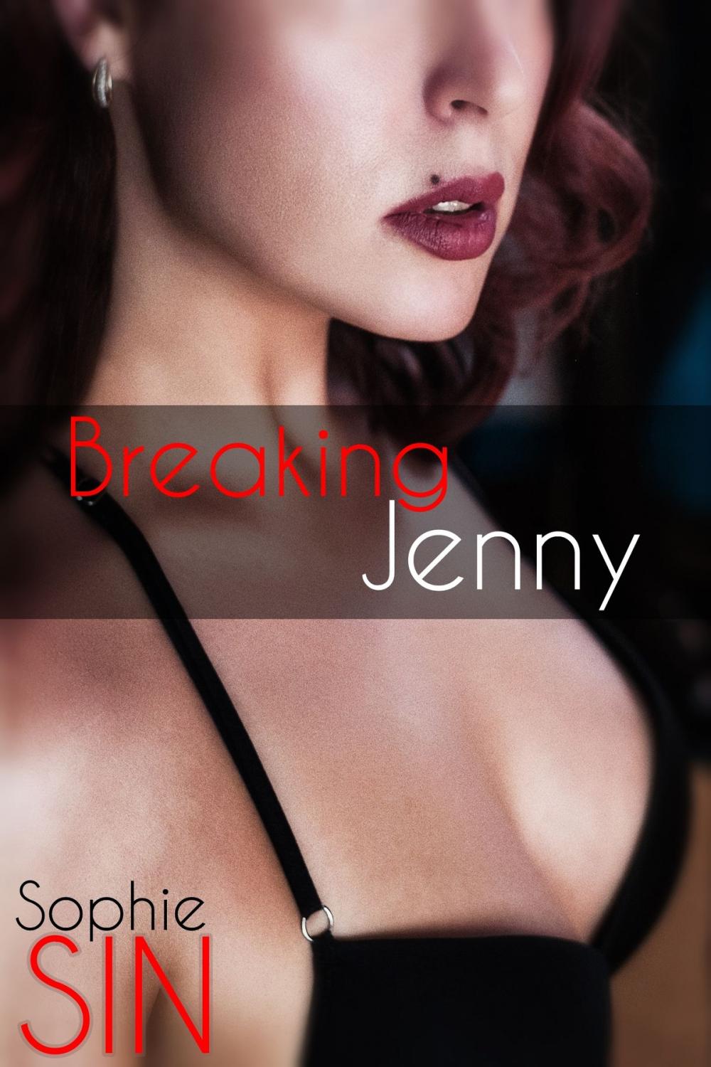 Big bigCover of Breaking Jenny