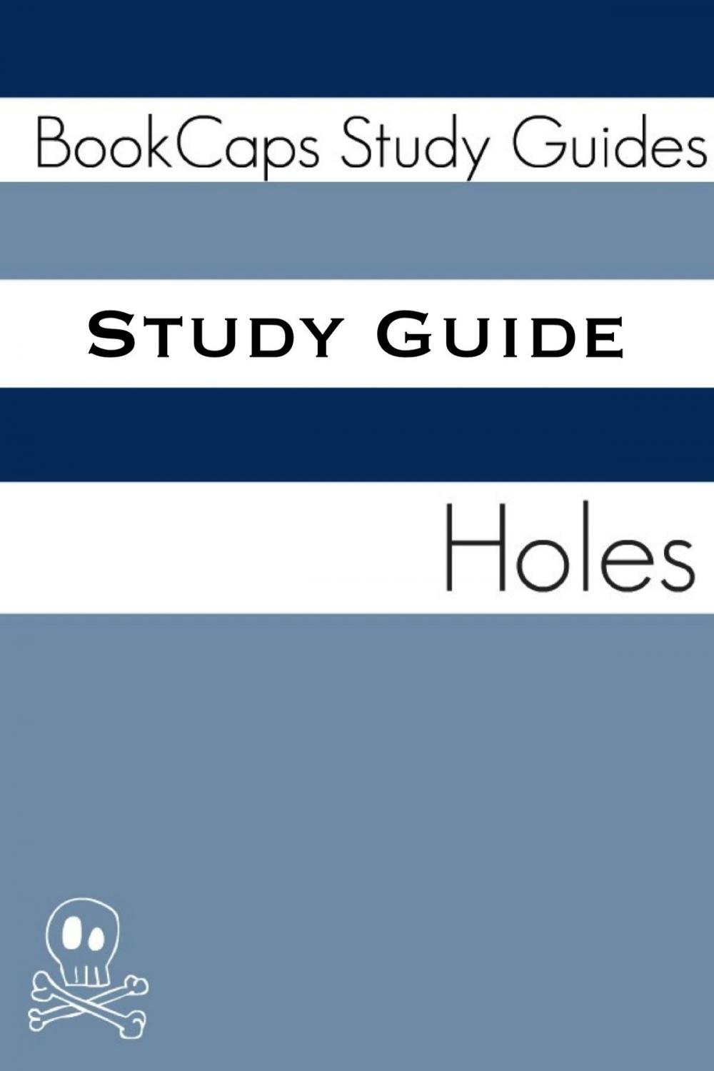 Big bigCover of Study Guide: Holes (A BookCaps Study Guide)