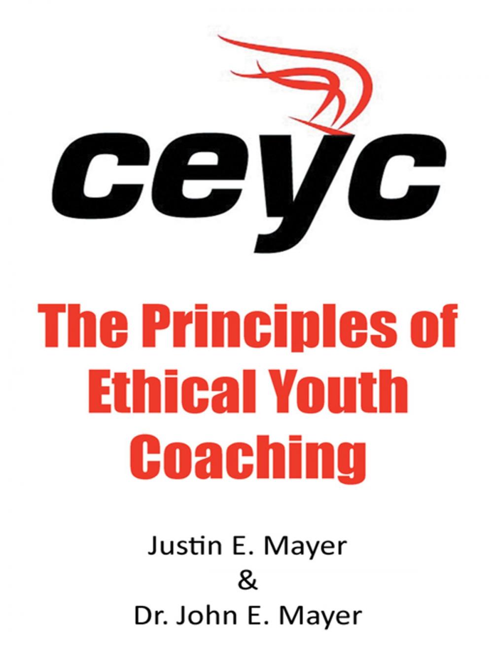 Big bigCover of The Principles of Ethical Youth Coaching