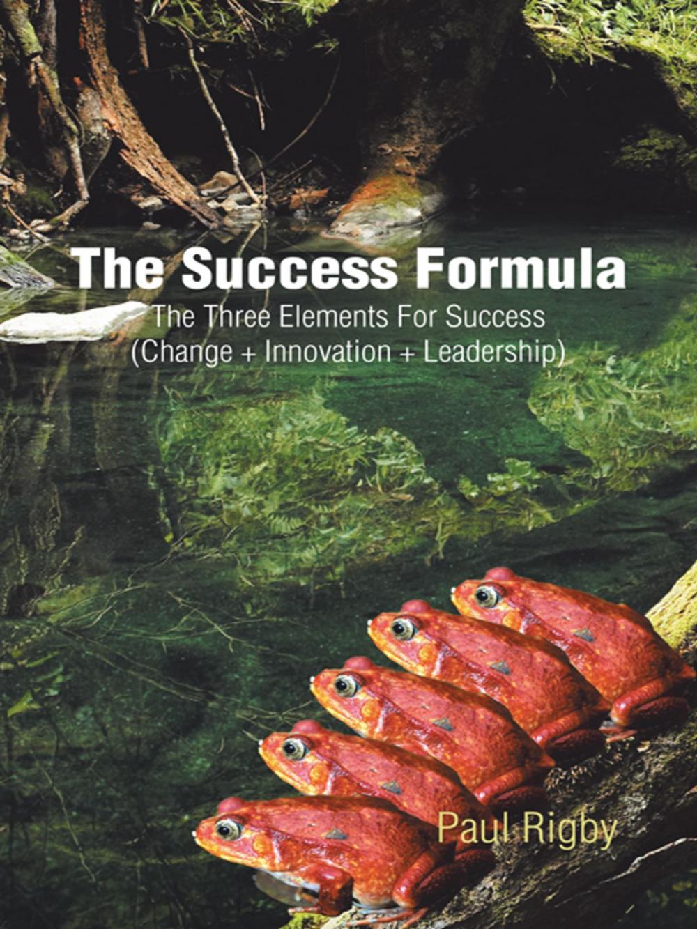 Big bigCover of The Success Formula