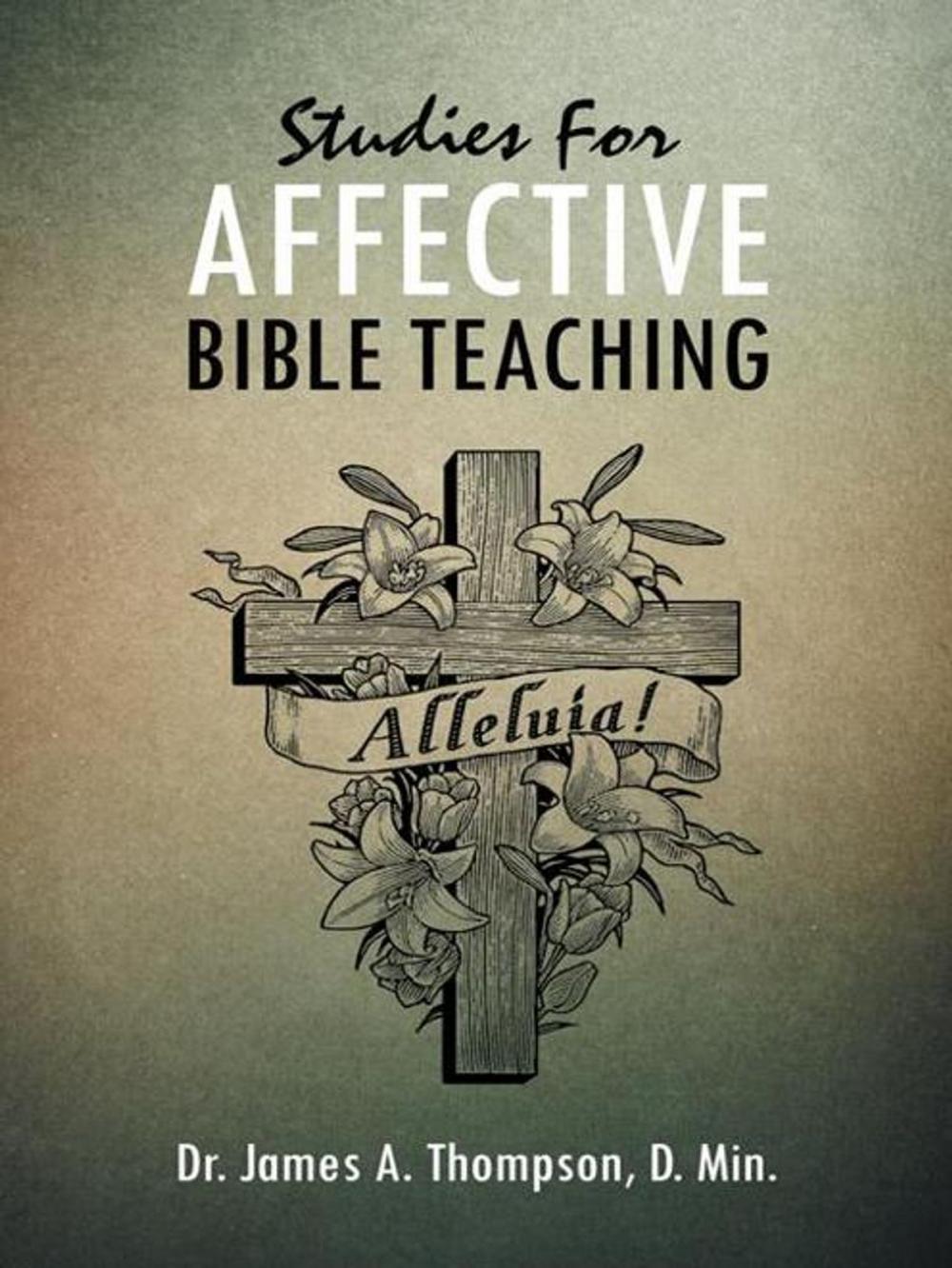 Big bigCover of Studies for Affective Bible Teaching