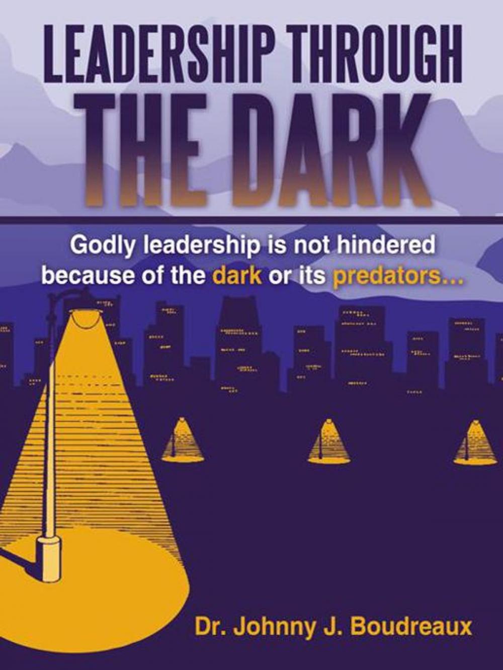 Big bigCover of Leadership Through the Dark