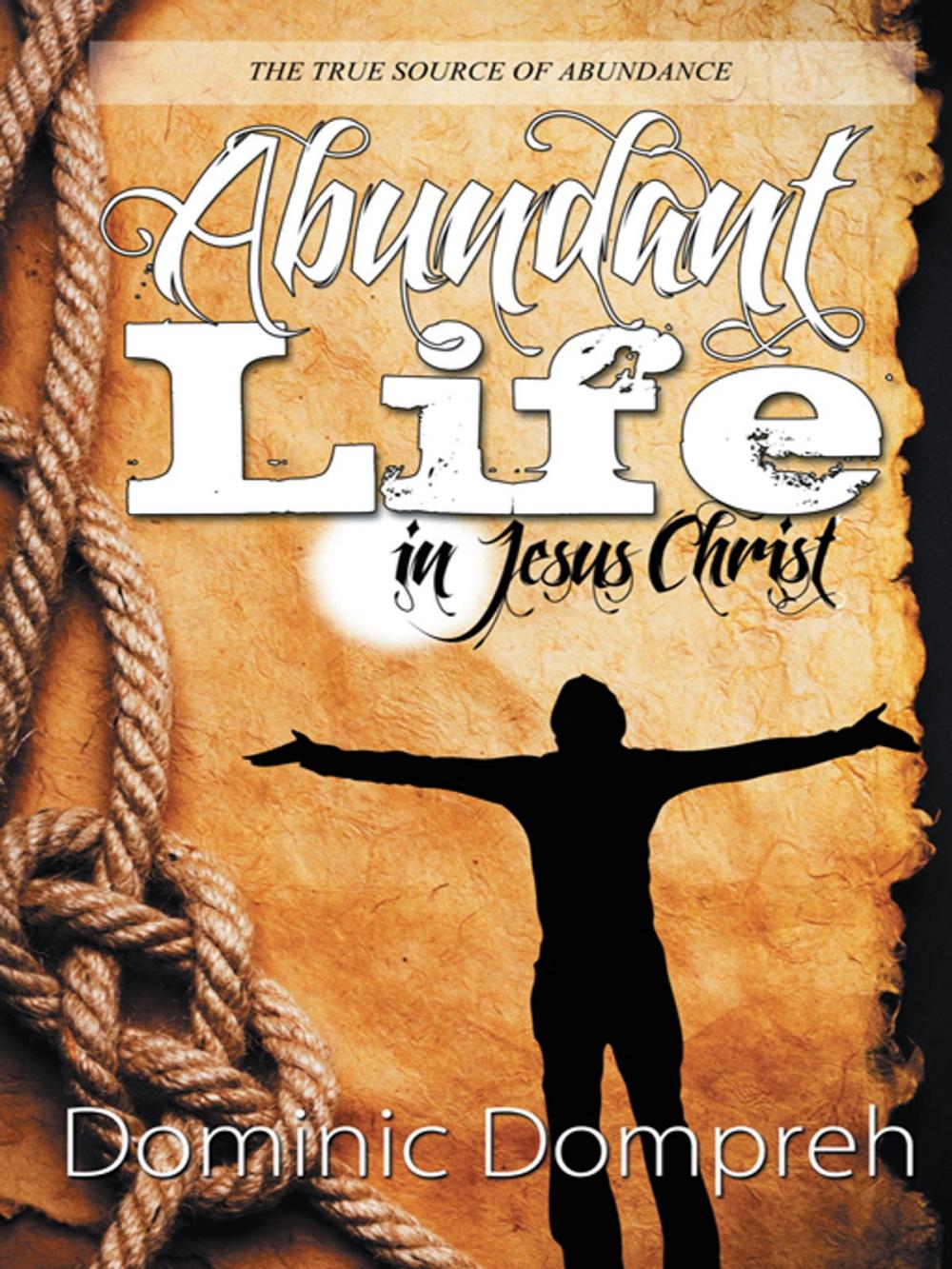 Big bigCover of Abundant Life in Jesus Christ