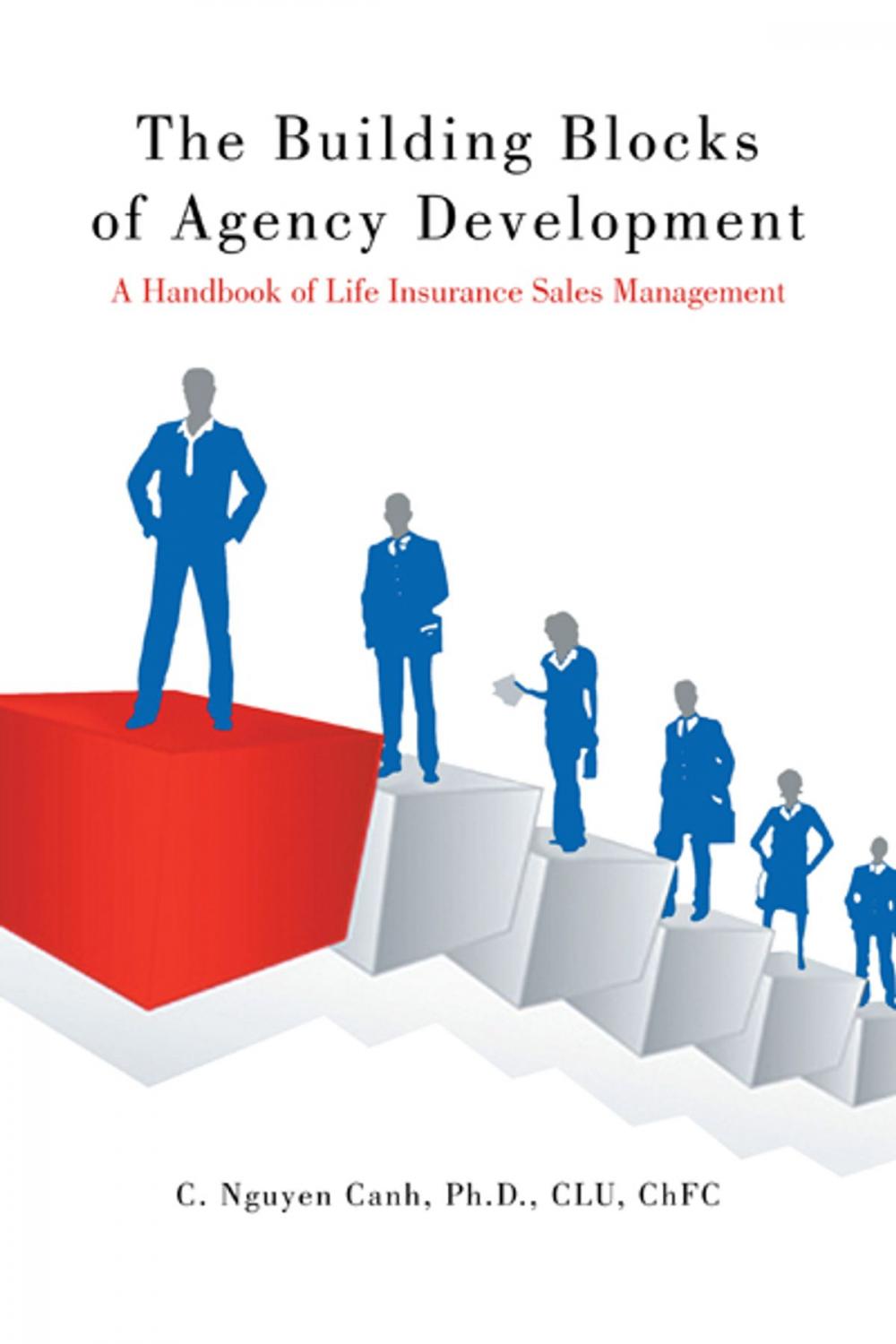 Big bigCover of The Building Blocks of Agency Development