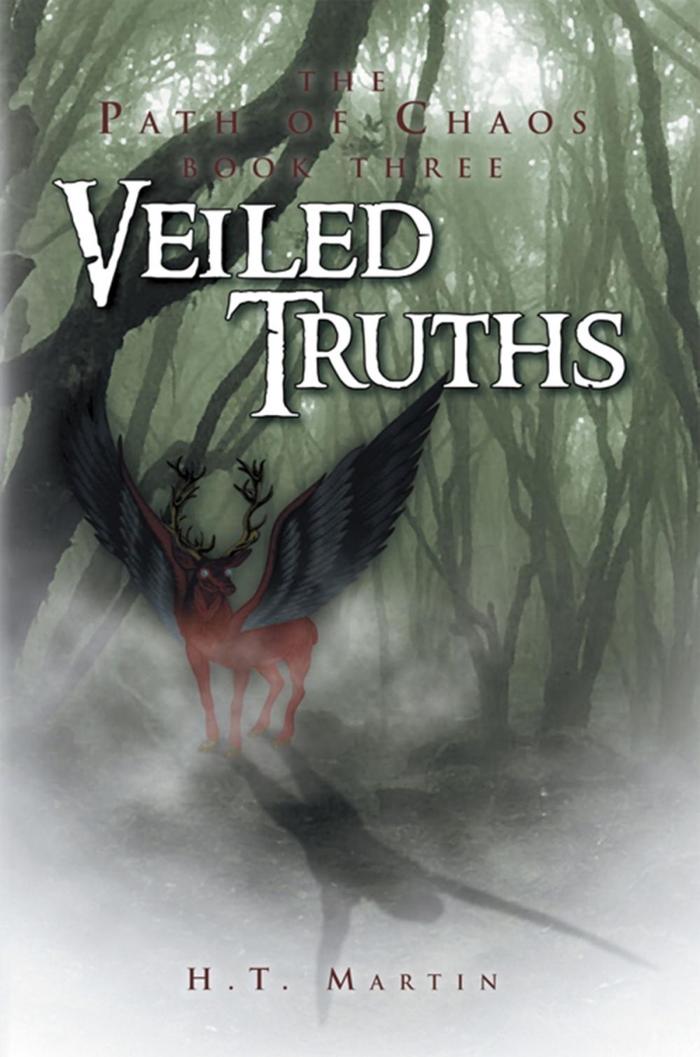 Big bigCover of Veiled Truths