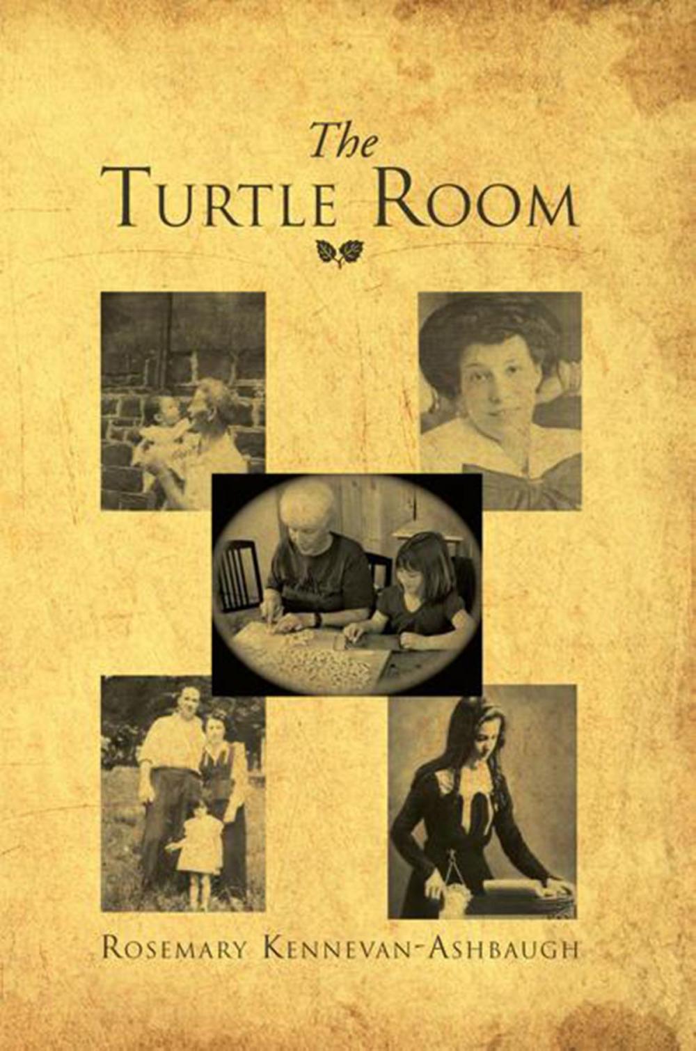 Big bigCover of The Turtle Room