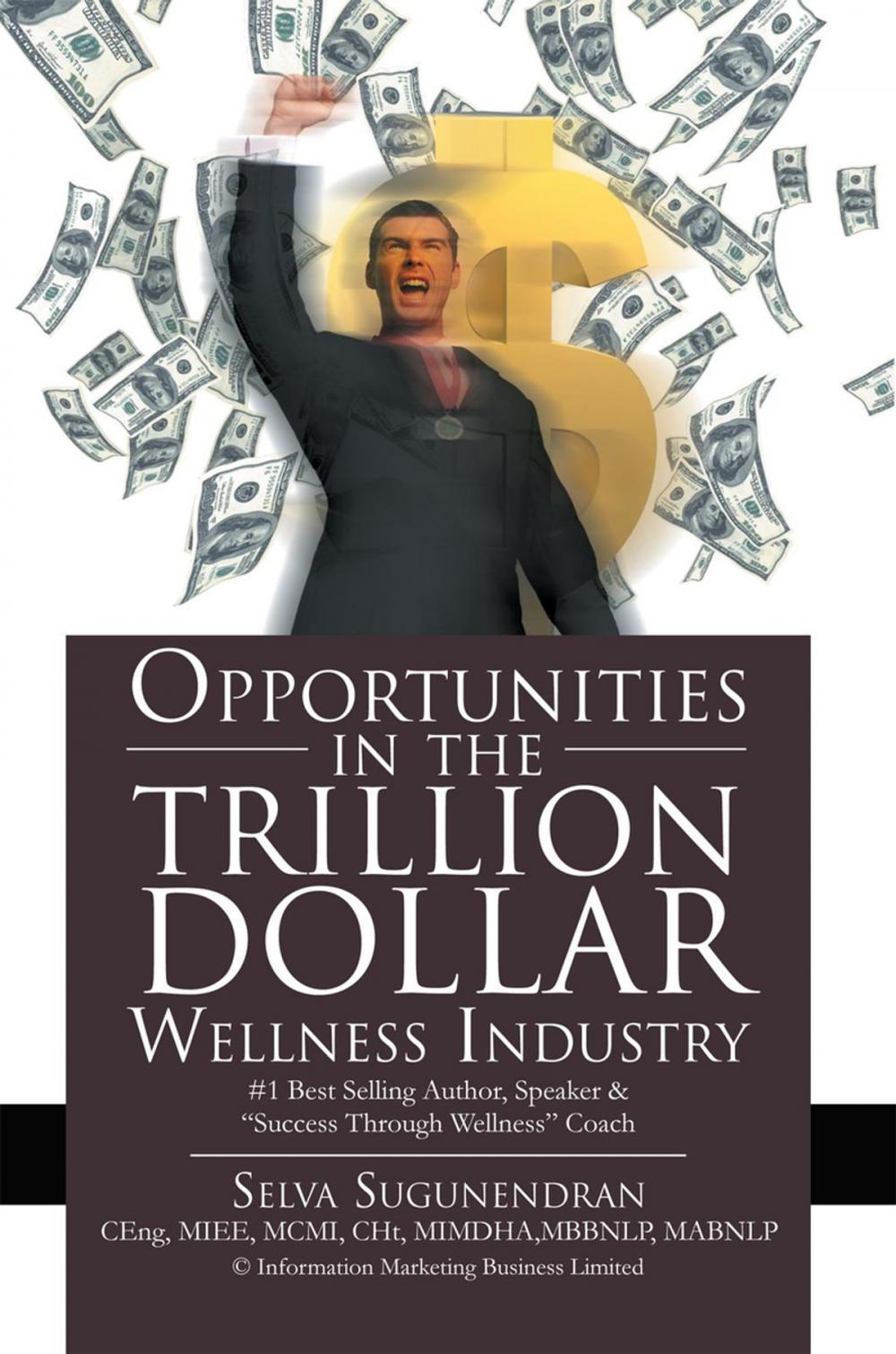 Big bigCover of Opportunities in the Trillion Dollar Wellness Industry