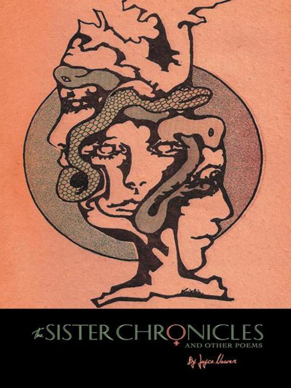 Big bigCover of The Sister Chronicles and Other Poems