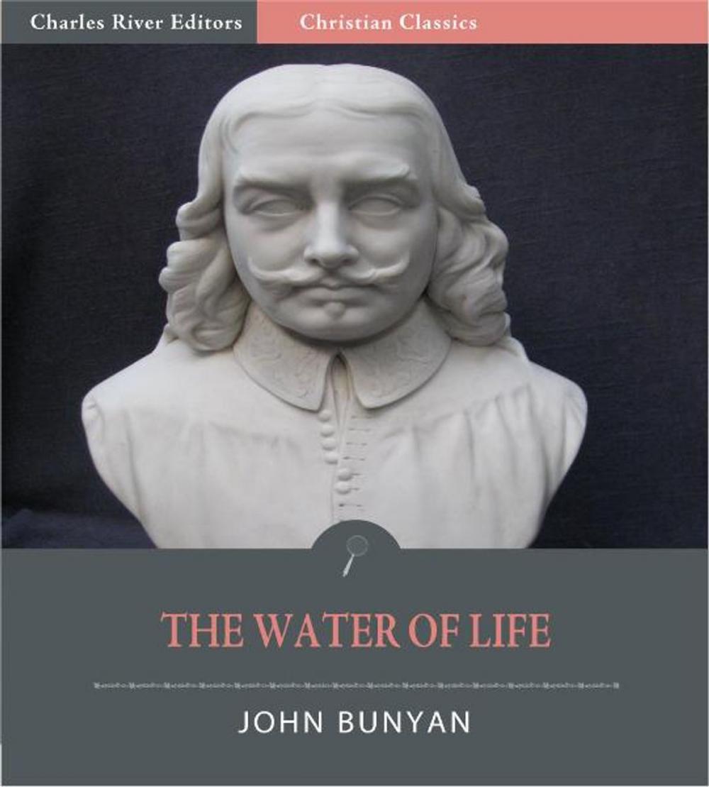 Big bigCover of The Water of Life (Illustrated Edition)