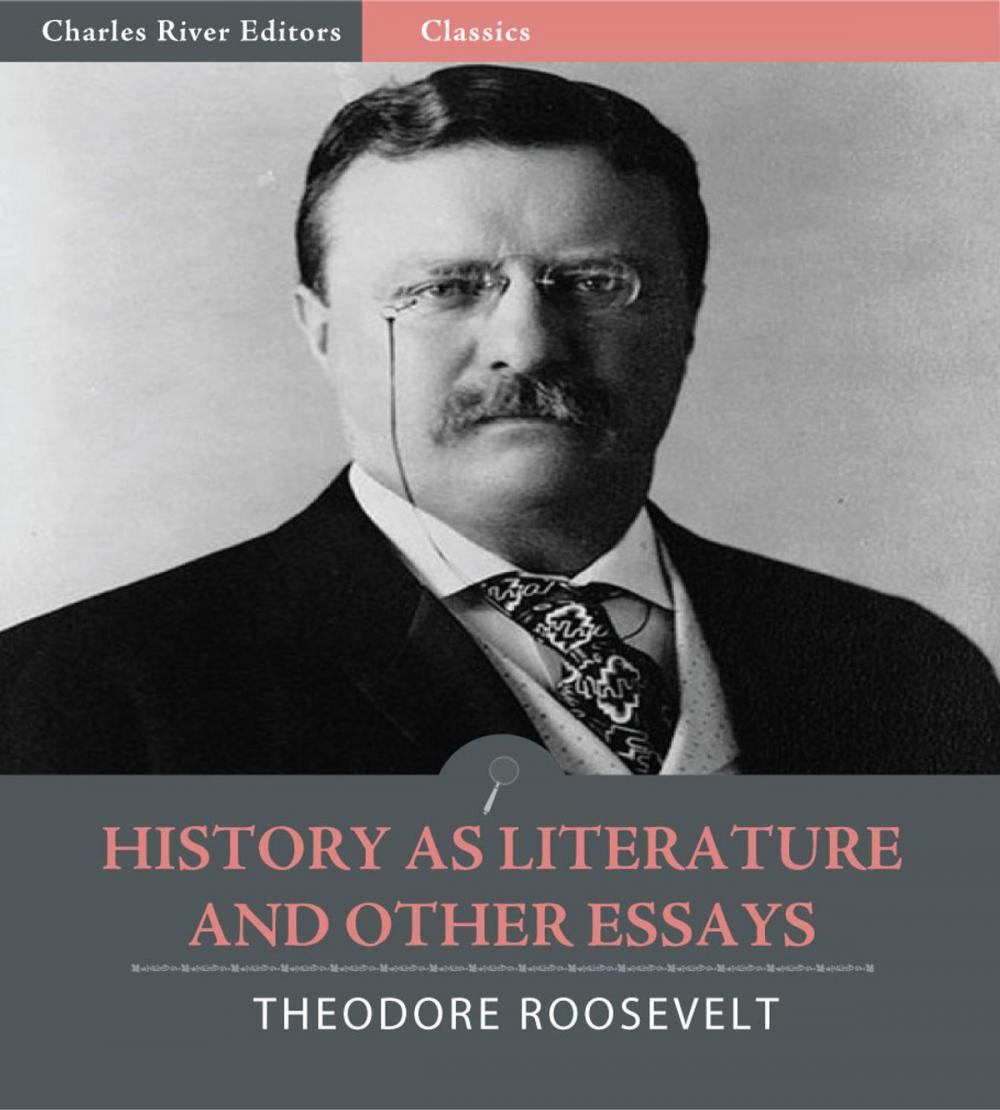 Big bigCover of History as Literature and Other Essays