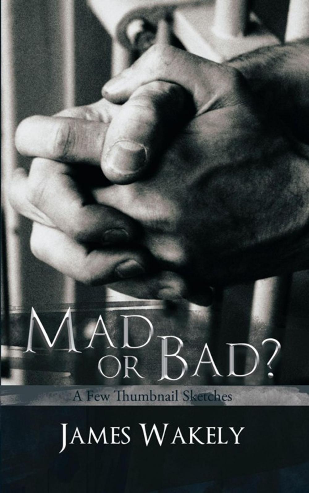 Big bigCover of Mad or Bad?