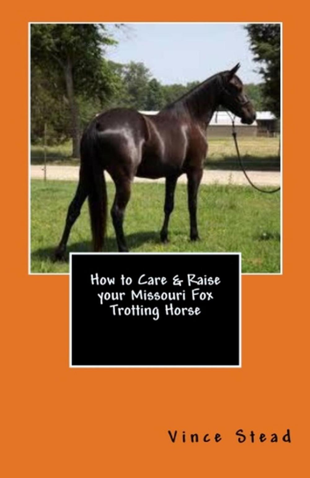 Big bigCover of How to Care & Raise your Missouri Fox Trotting Horse