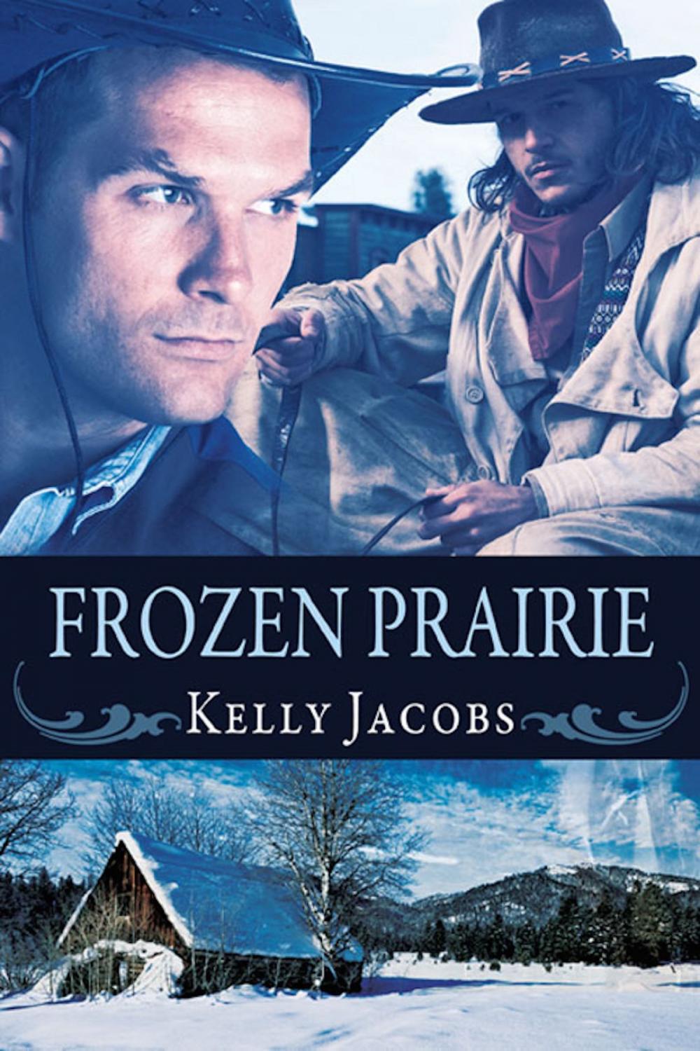 Big bigCover of Frozen Prairie