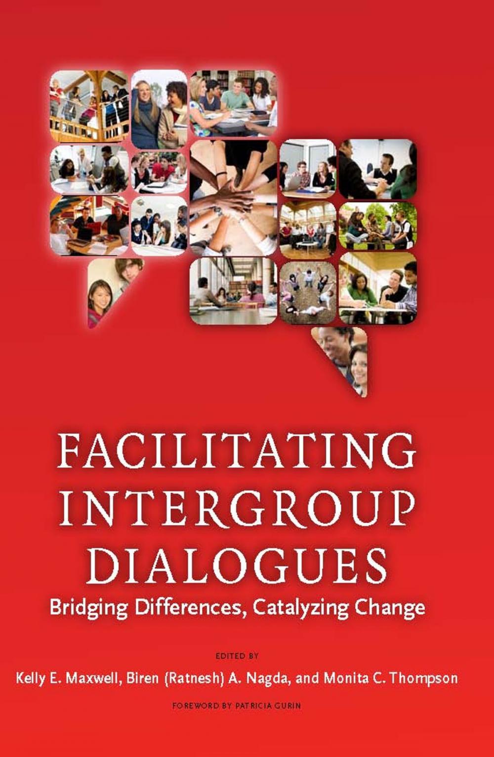 Big bigCover of Facilitating Intergroup Dialogues