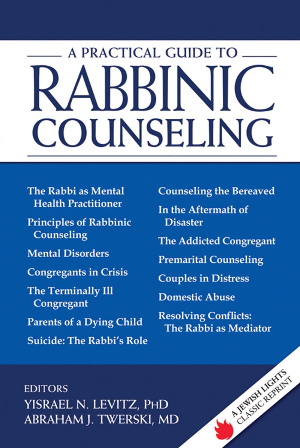 Big bigCover of A Practical Guide to Rabbinic Counseling