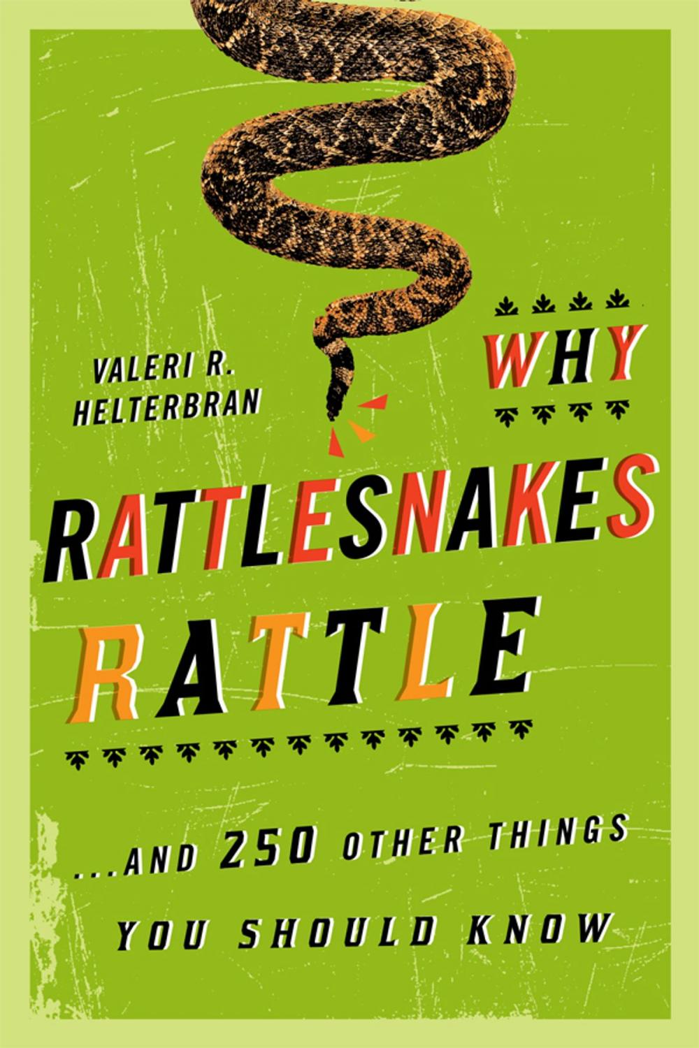 Big bigCover of Why Rattlesnakes Rattle