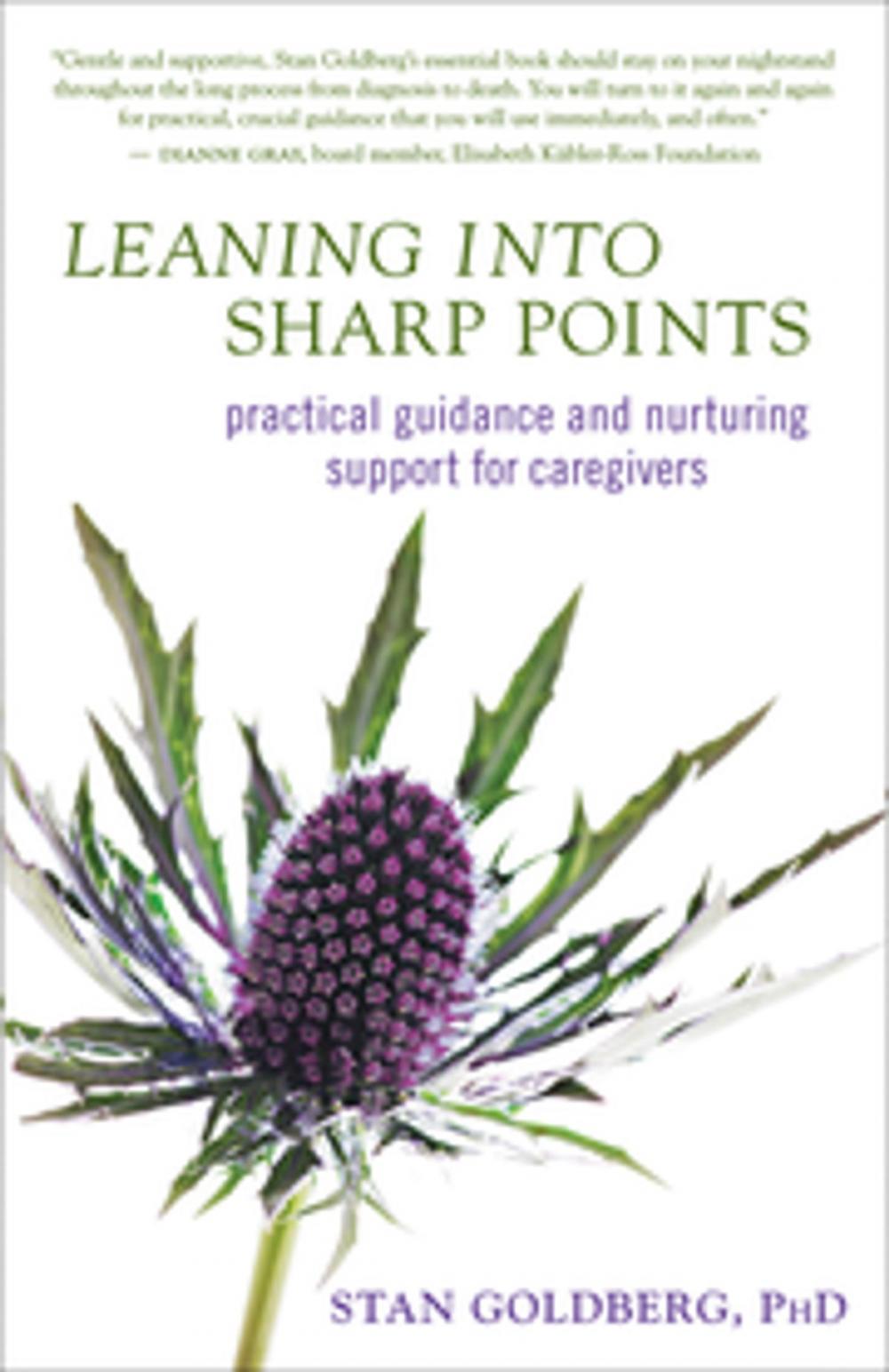 Big bigCover of Leaning into Sharp Points