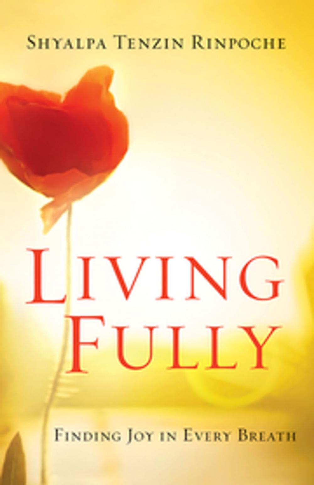 Big bigCover of Living Fully