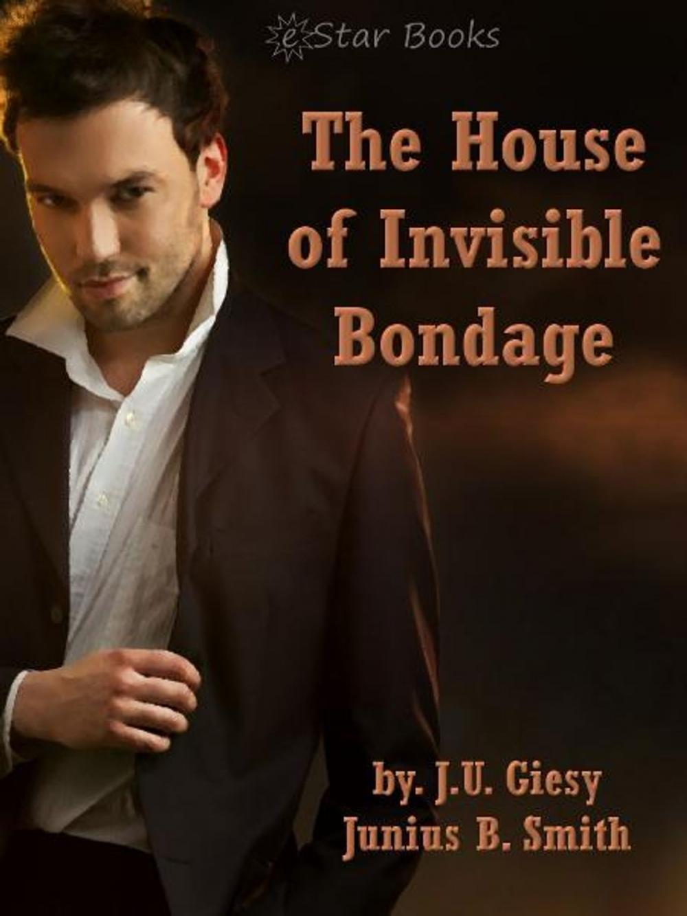 Big bigCover of The House of Invisible Bondage