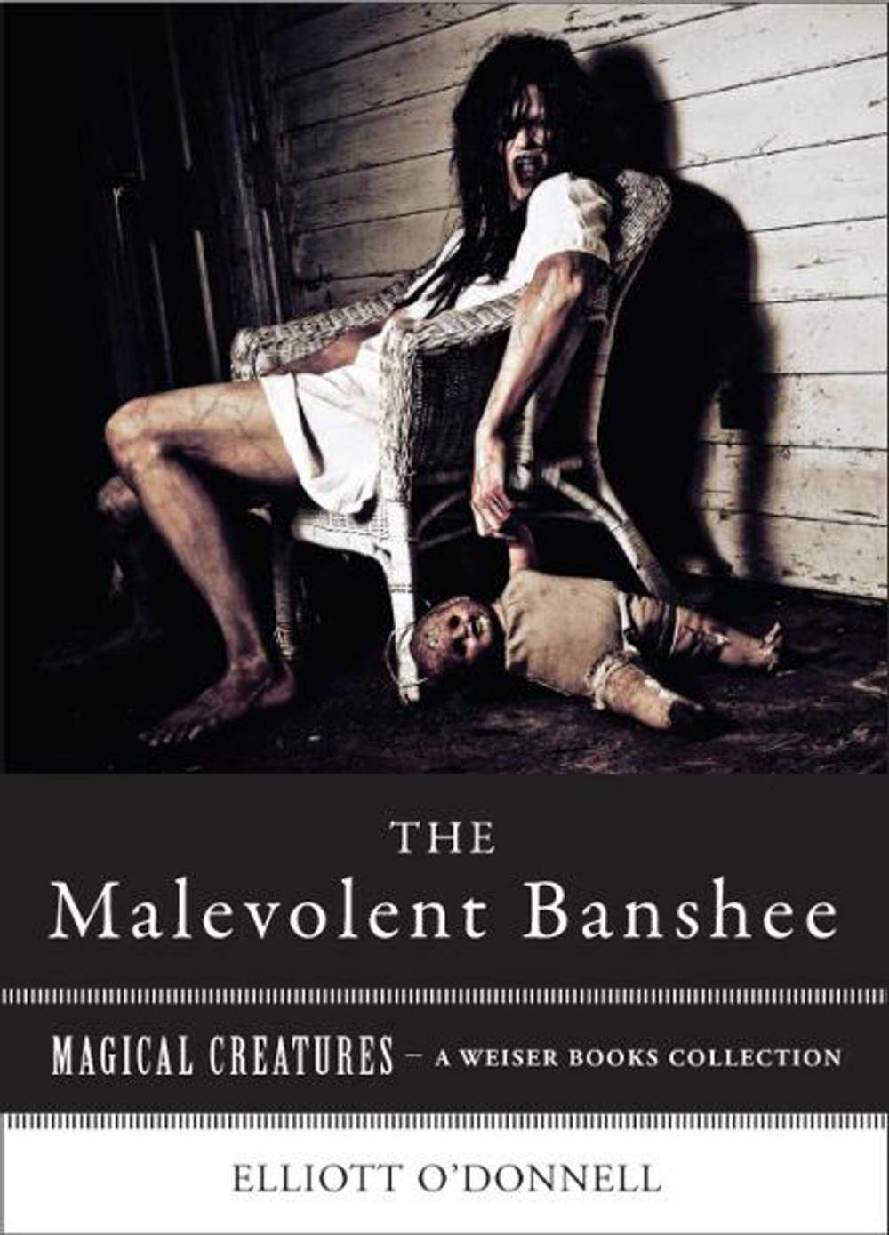 Big bigCover of Malevolent Banshe