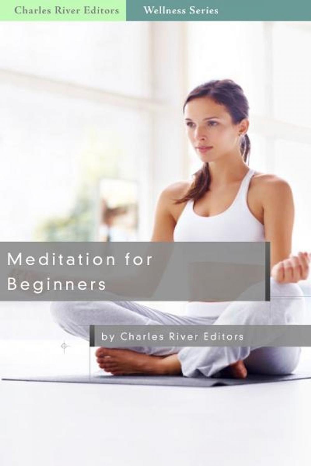 Big bigCover of Meditation for Beginners