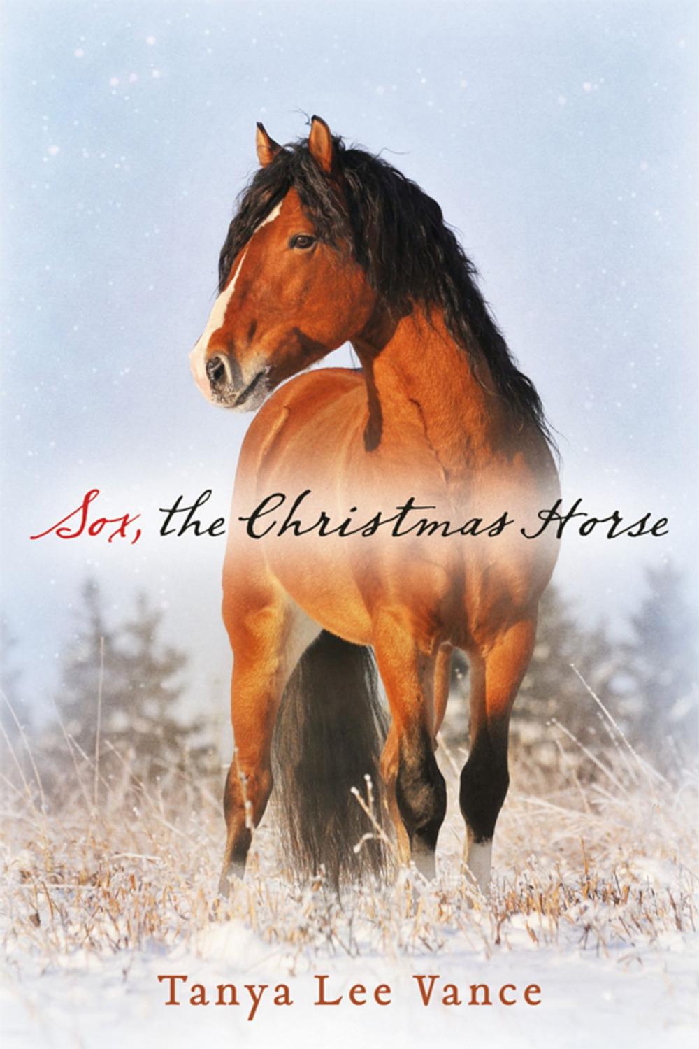 Big bigCover of Sox, the Christmas Horse