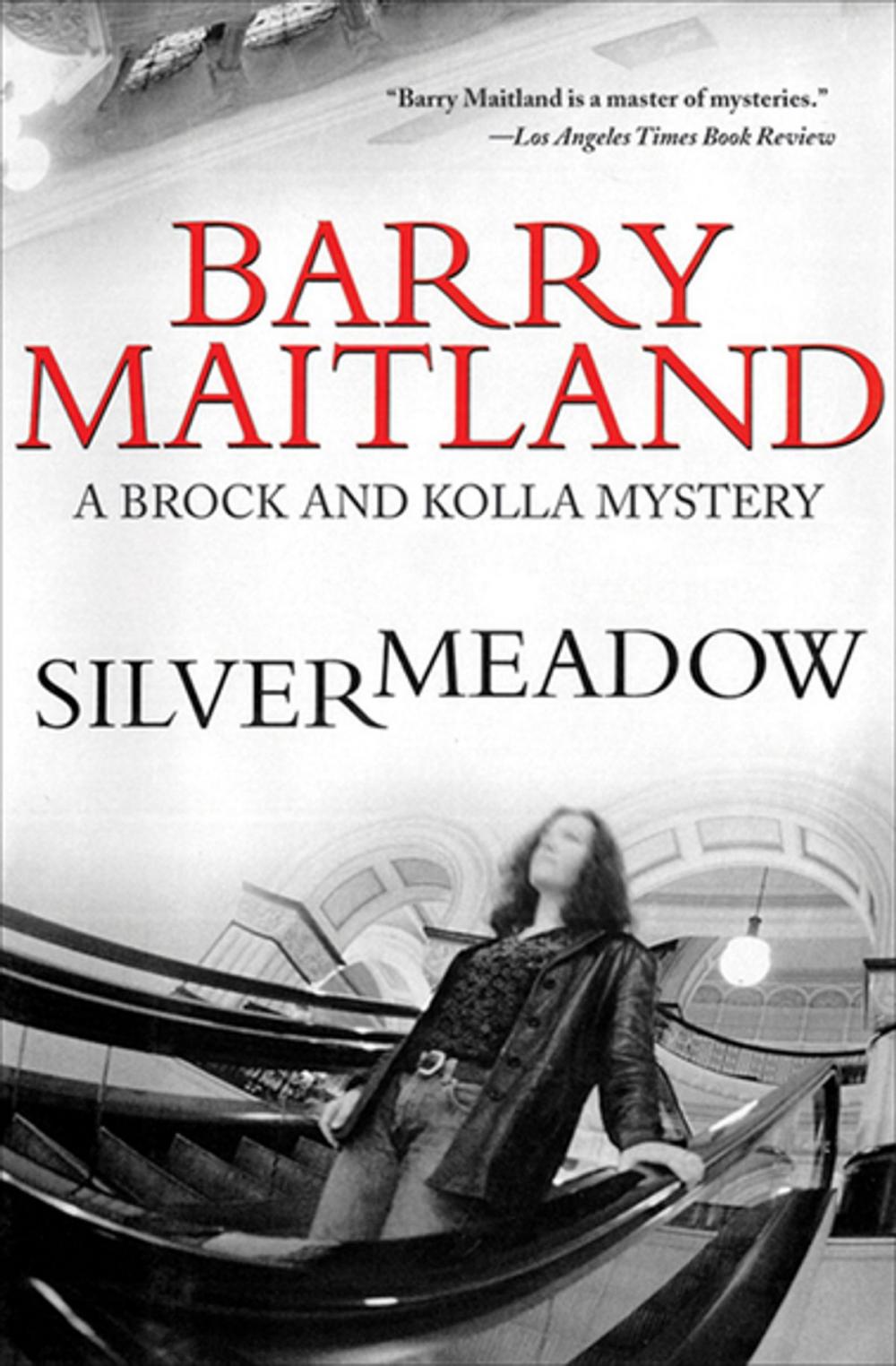 Big bigCover of Silvermeadow