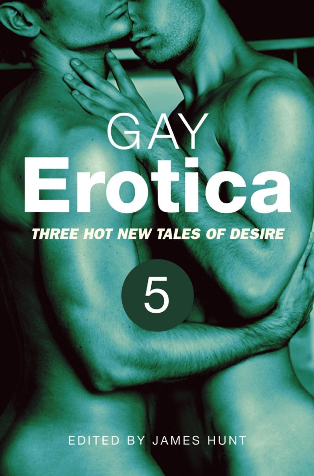 Big bigCover of Gay Erotica, Volume 5