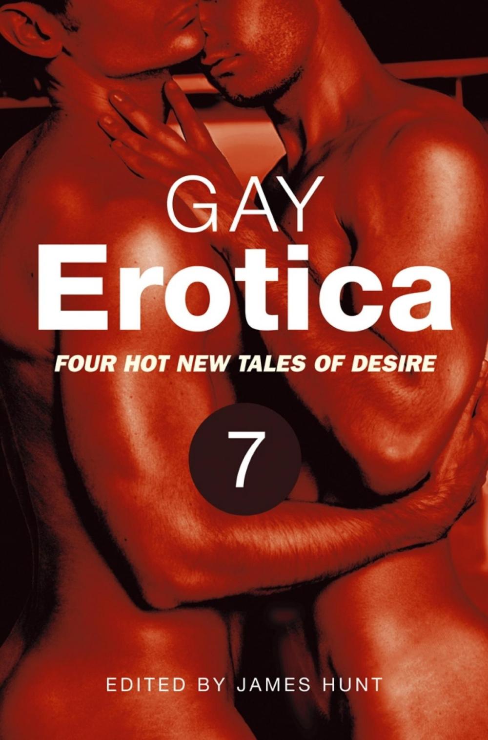 Big bigCover of Gay Erotica, Volume 7