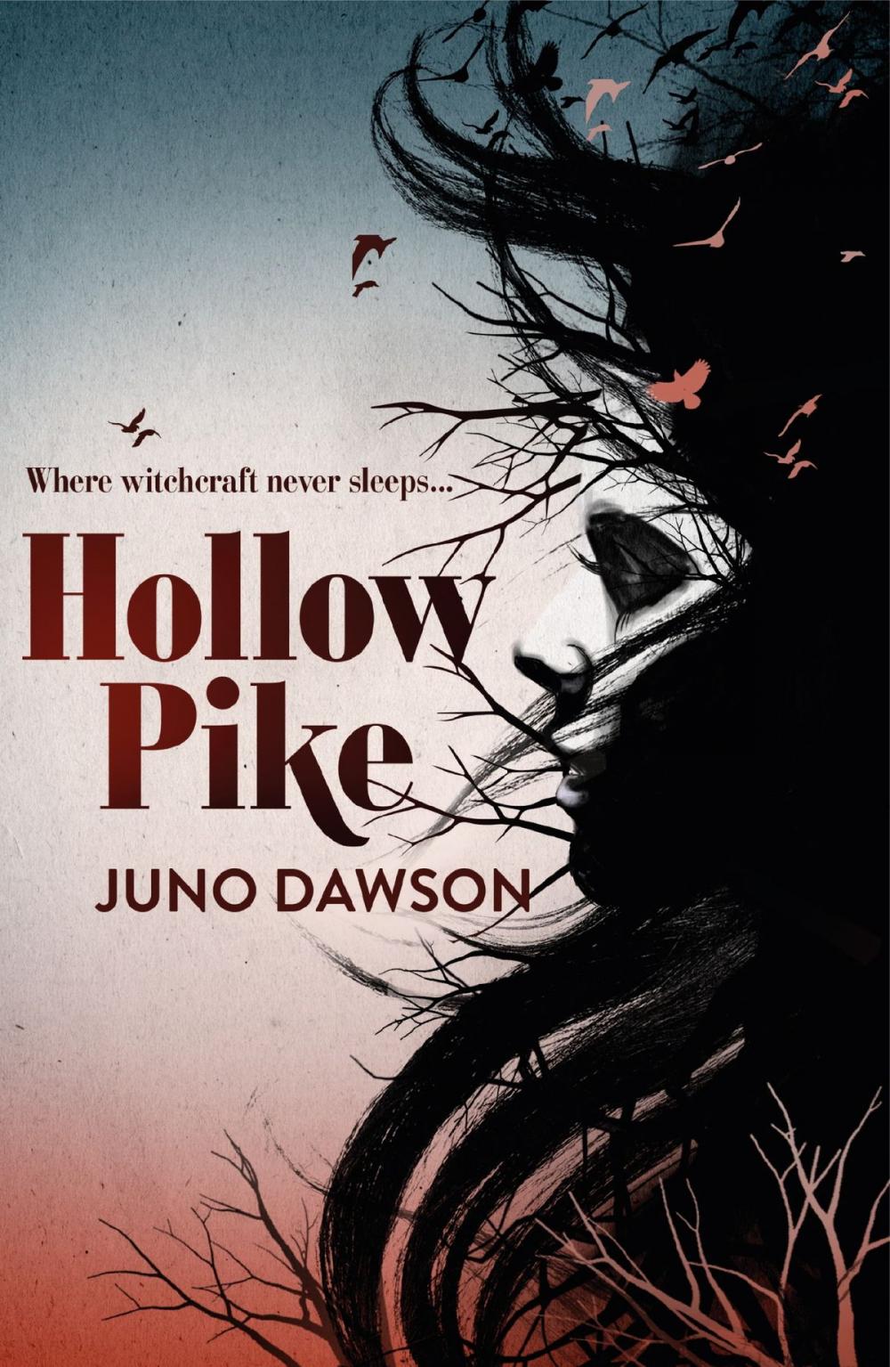 Big bigCover of Hollow Pike