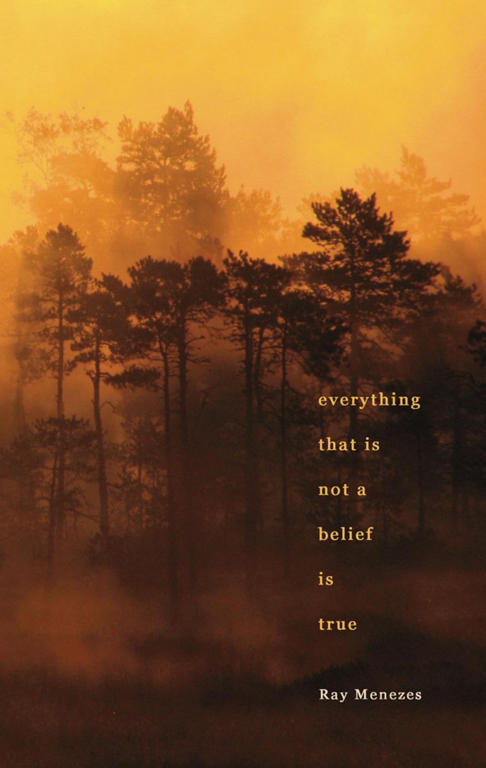 Big bigCover of Everything That is Not a Belief is True