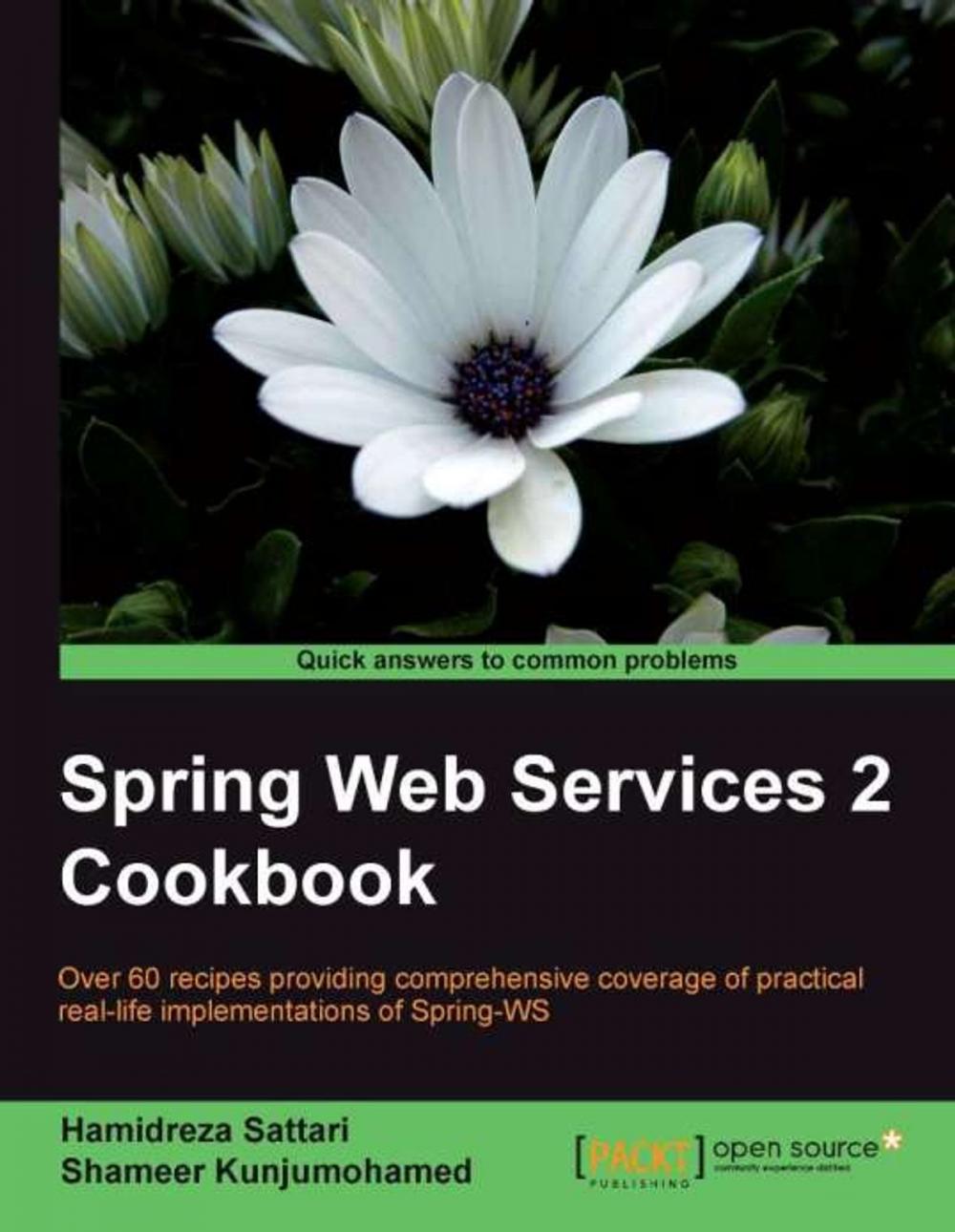 Big bigCover of Spring Web Services 2 Cookbook