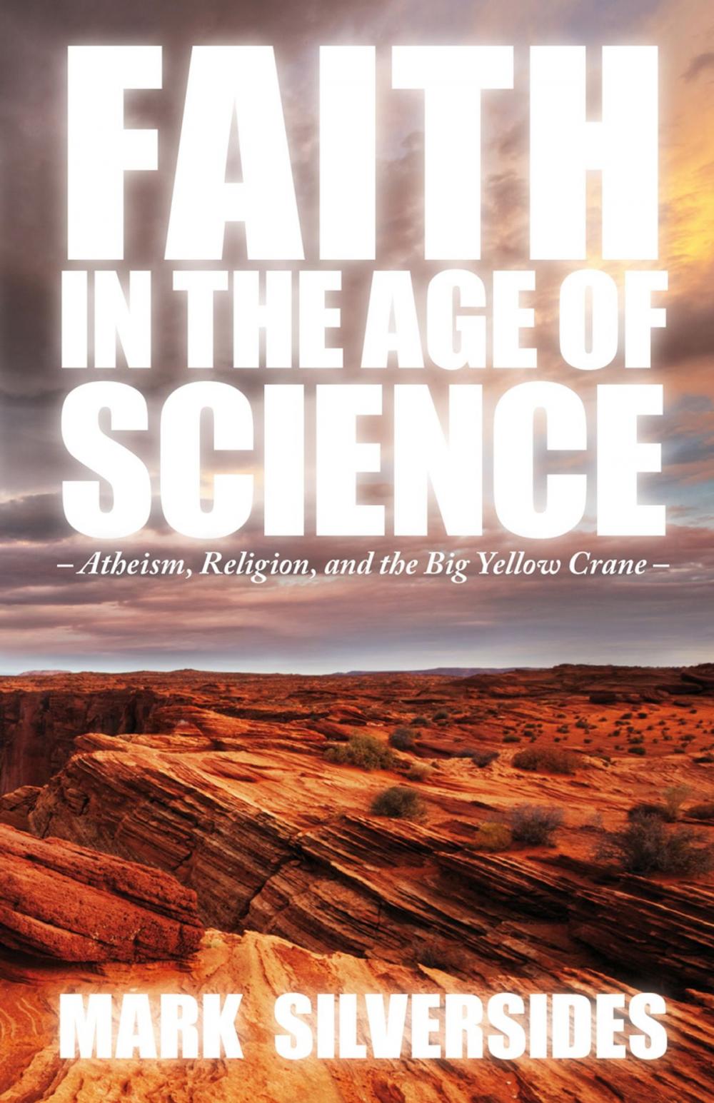 Big bigCover of Faith in the Age of Science