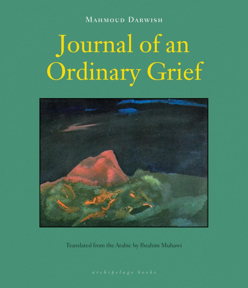 Big bigCover of Journal of an Ordinary Grief