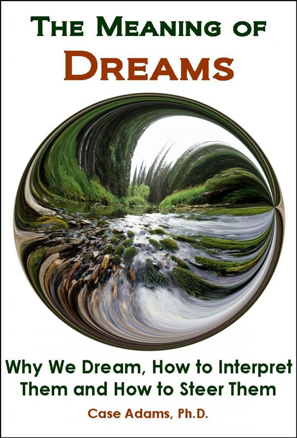 Big bigCover of The Meaning of Dreams: The Science of Why We Dream, How to Interpret Them and How to Steer Them