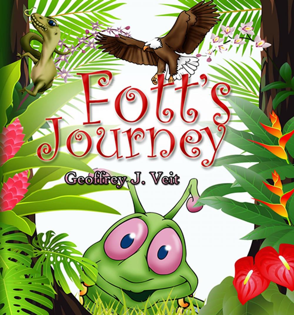 Big bigCover of Fott's Journey