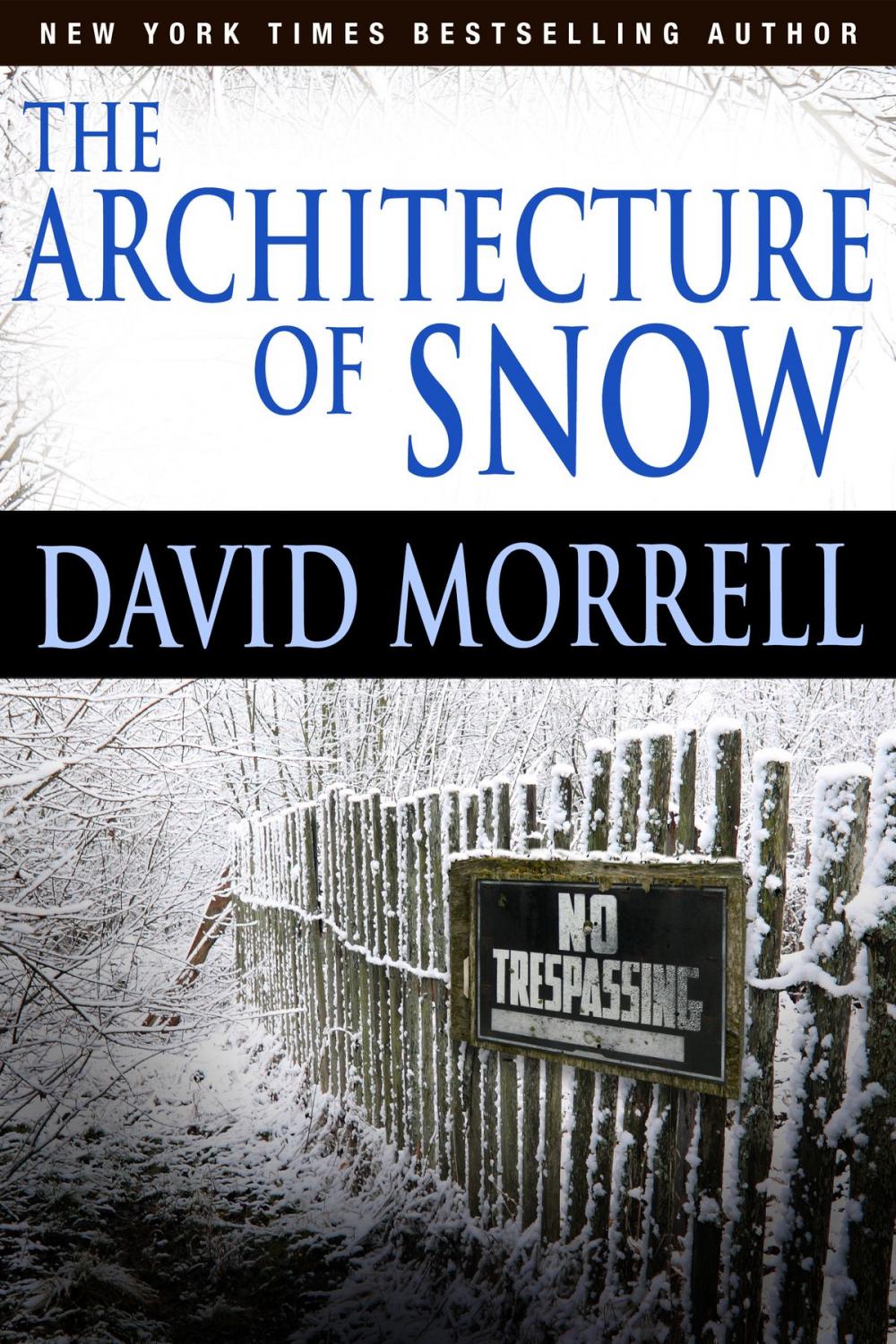 Big bigCover of The Architecture of Snow