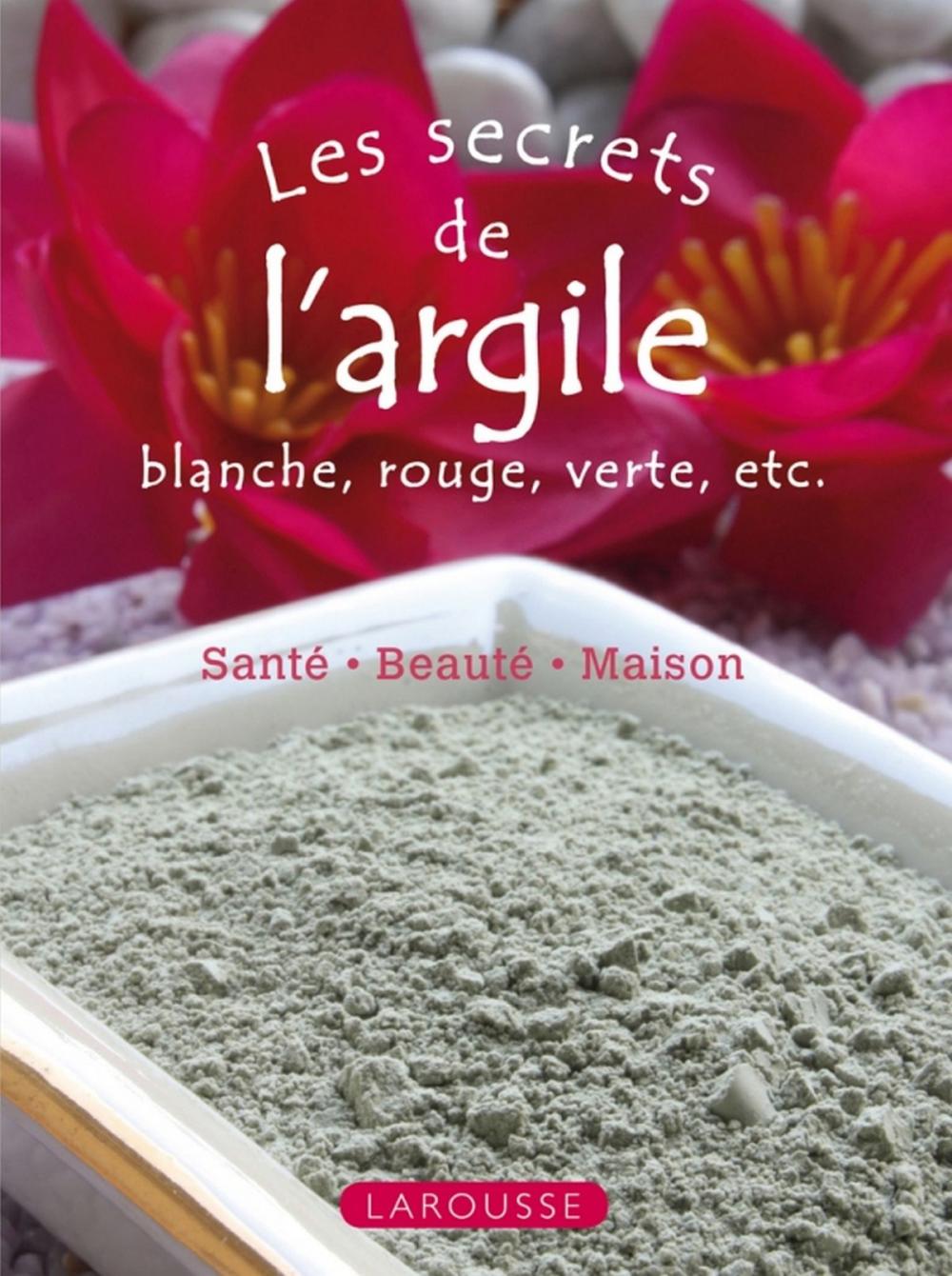 Big bigCover of Les secrets de l'argile