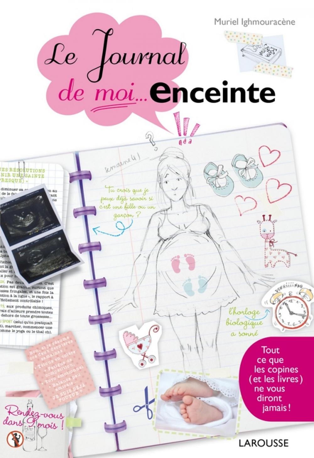 Big bigCover of Le journal de moi...enceinte