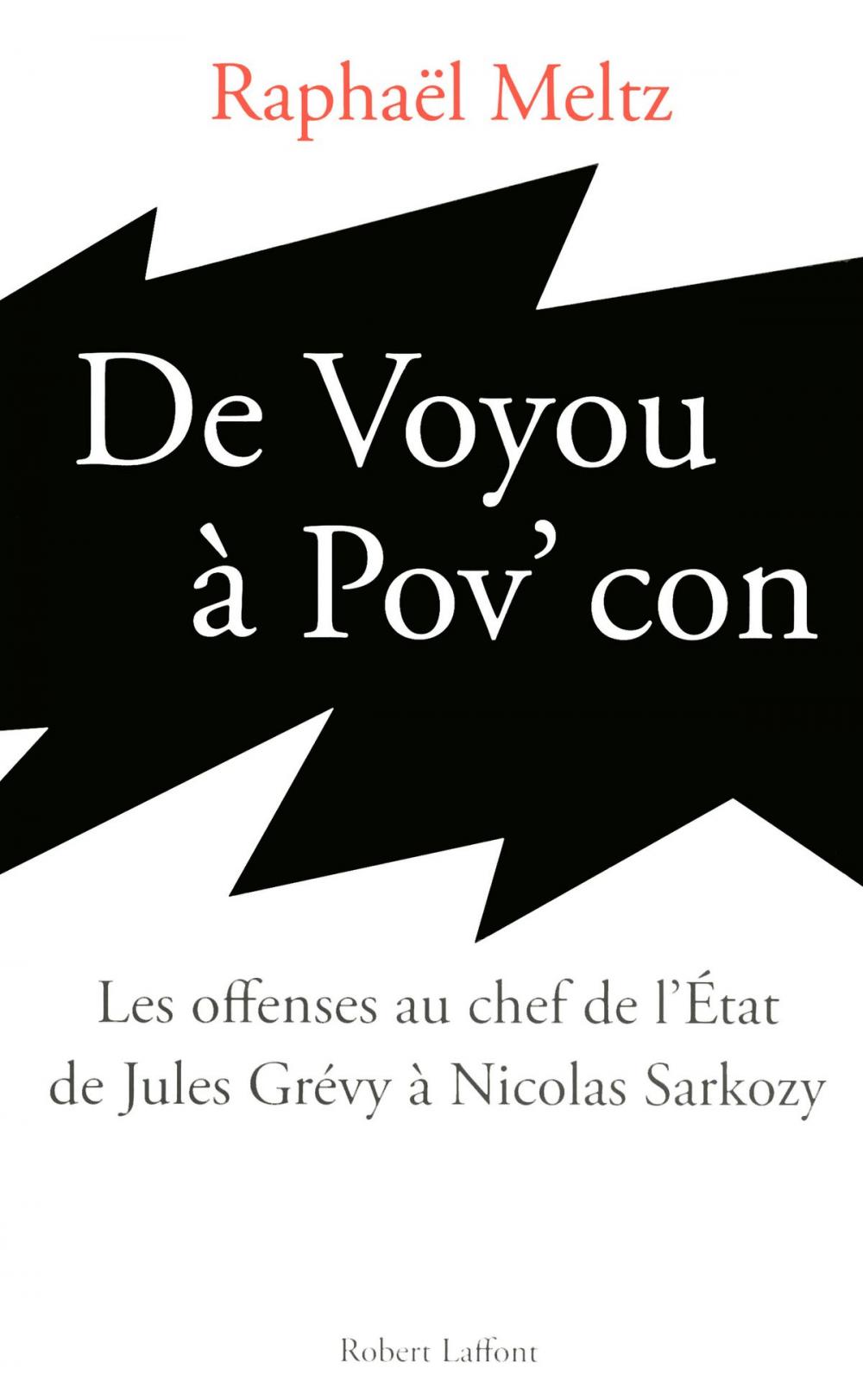 Big bigCover of De voyou à pov' con