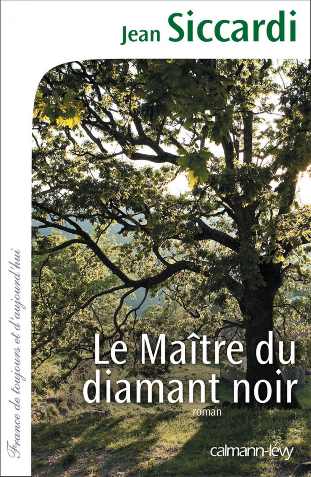 Big bigCover of Le Maître du diamant noir