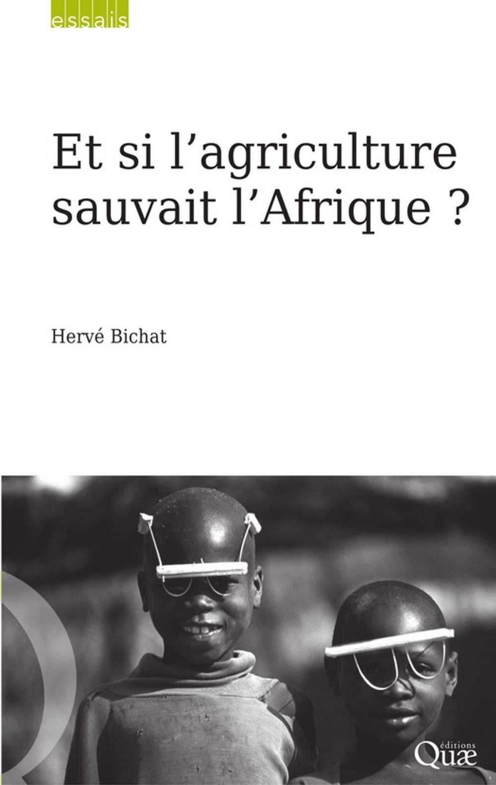 Big bigCover of Et si l'agriculture sauvait l'Afrique ?