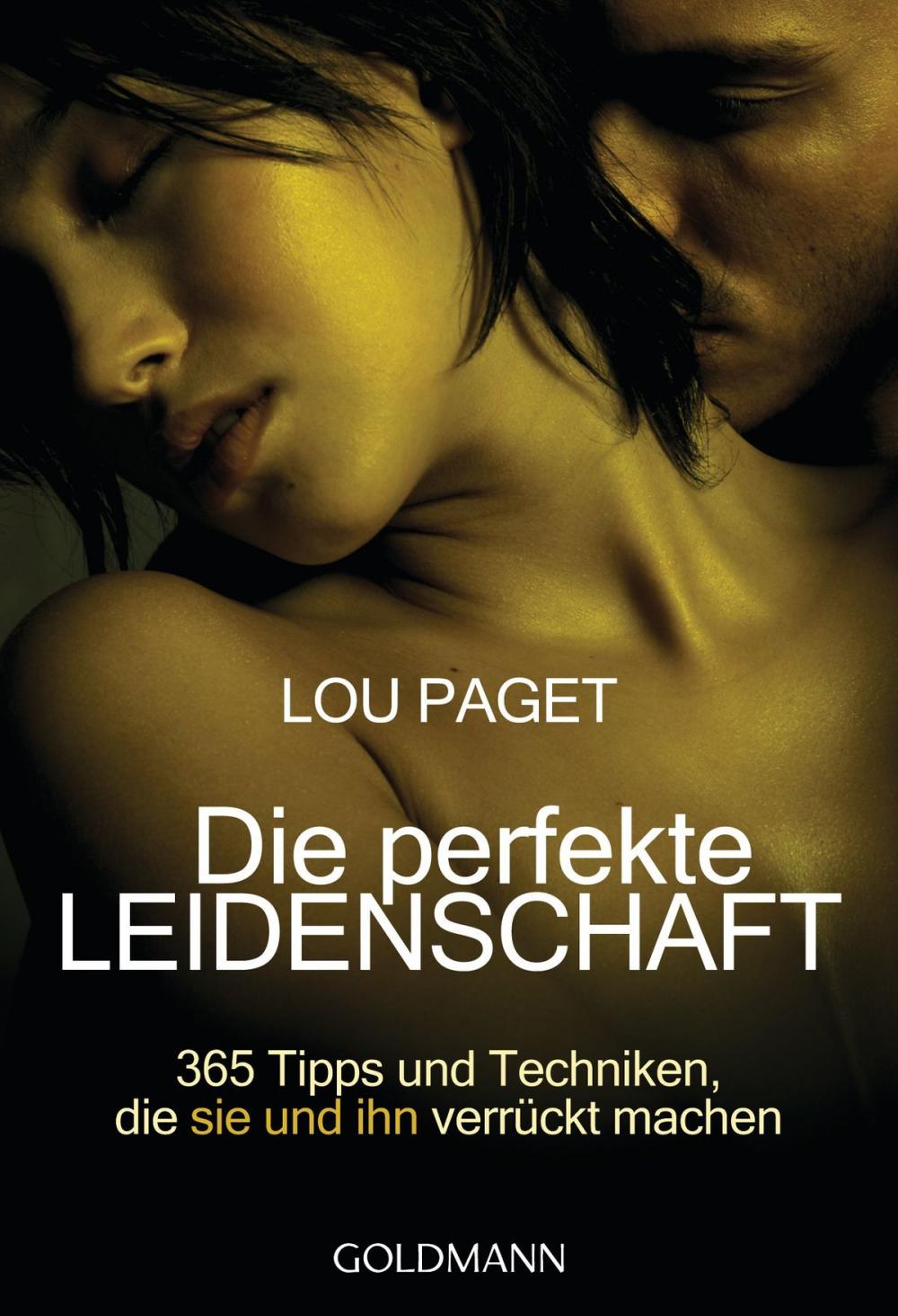 Big bigCover of Die perfekte Leidenschaft