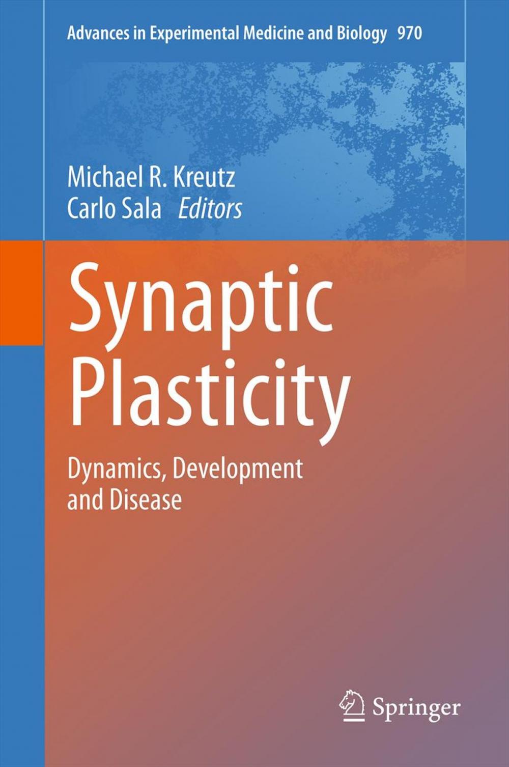 Big bigCover of Synaptic Plasticity