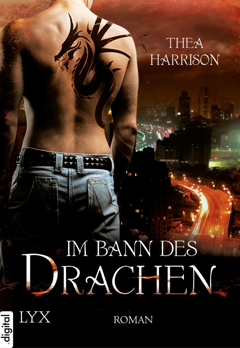 Big bigCover of Im Bann des Drachen