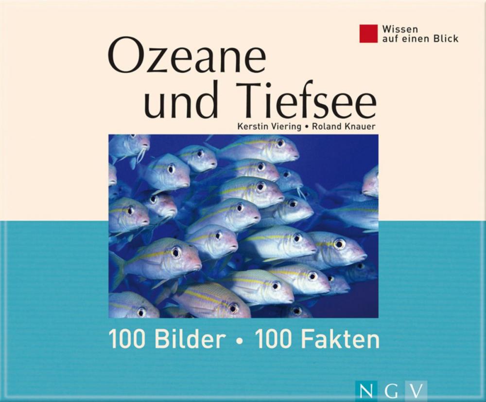 Big bigCover of Ozeane und Tiefsee: 100 Bilder - 100 Fakten