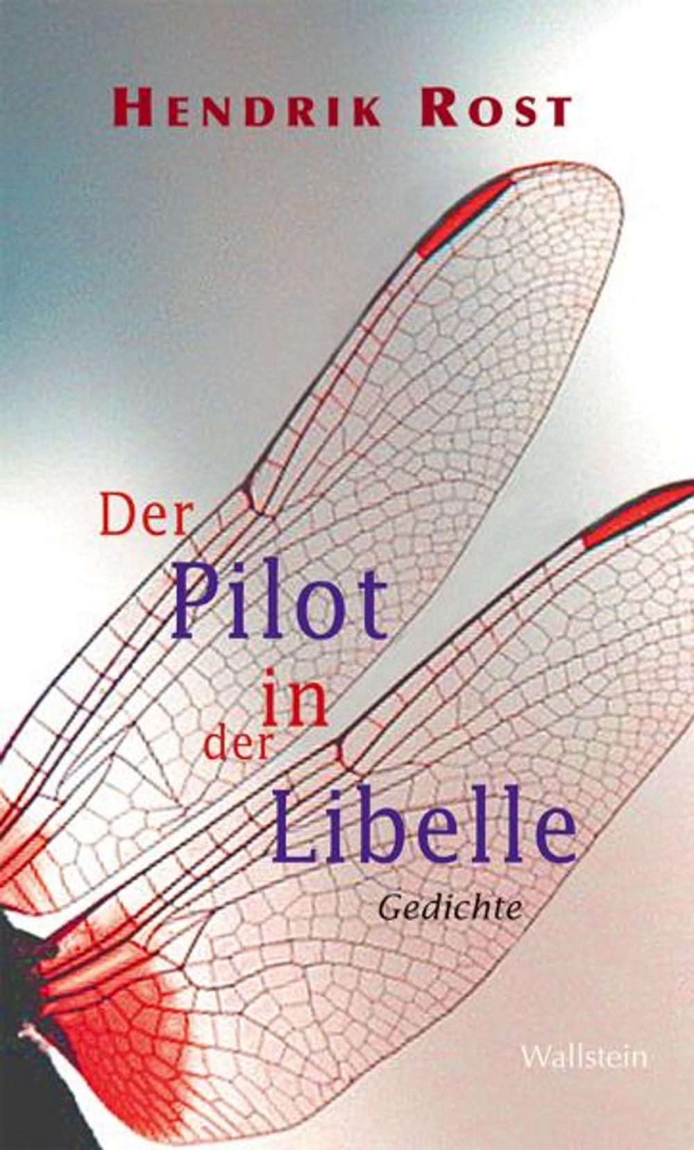 Big bigCover of Der Pilot in der Libelle