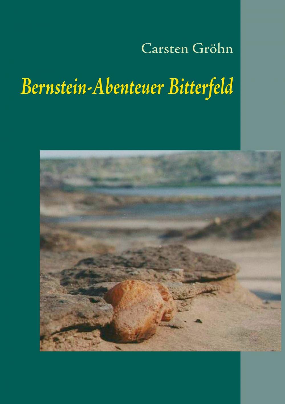Big bigCover of Bernstein-Abenteuer Bitterfeld