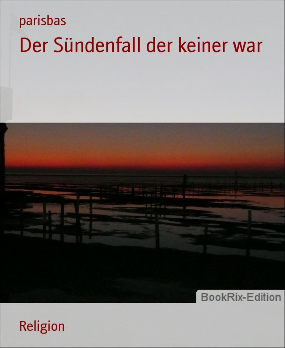 Big bigCover of Der Sündenfall der keiner war