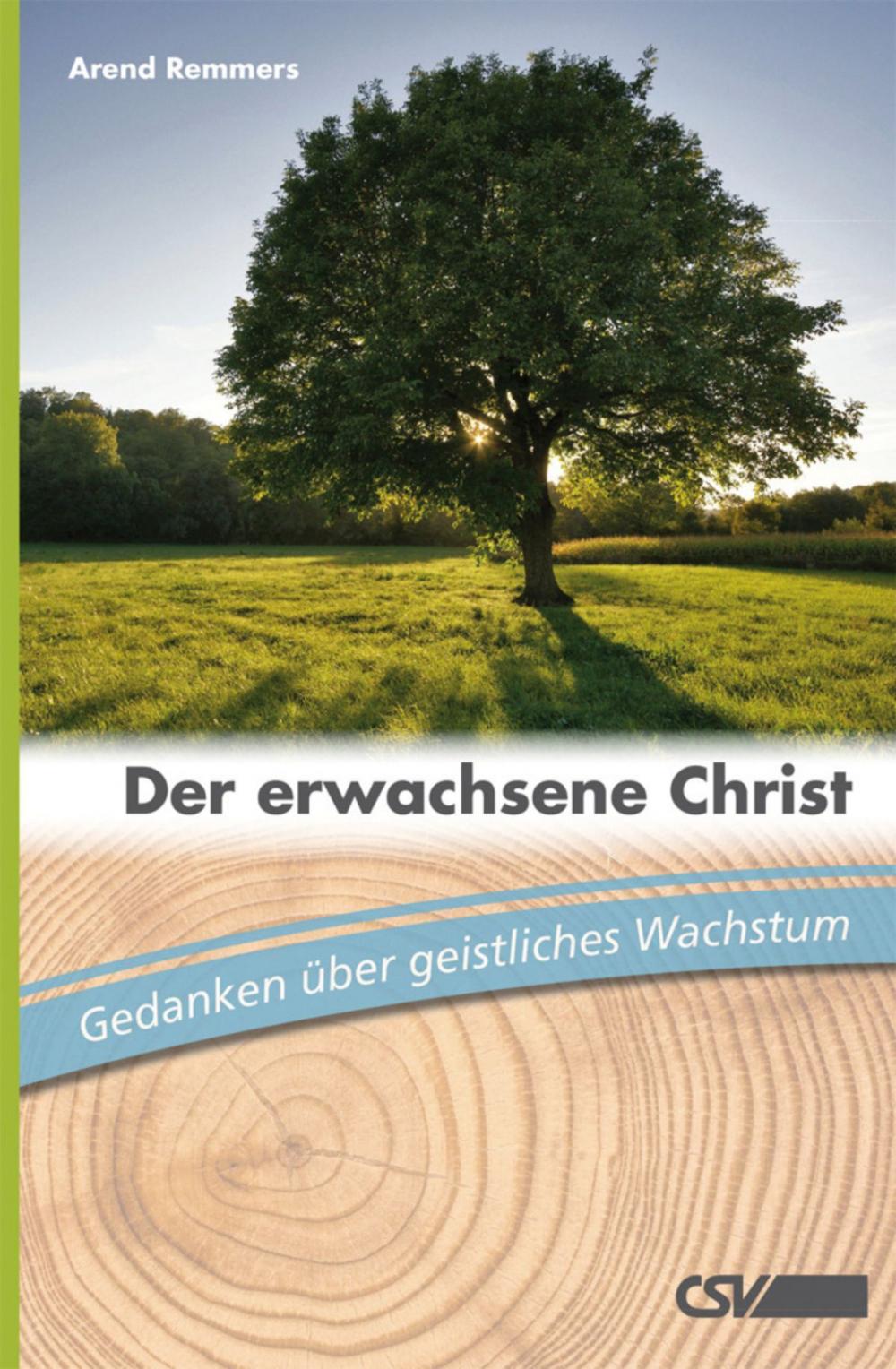 Big bigCover of Der erwachsene Christ